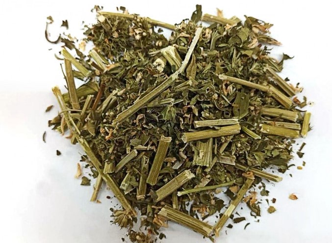 Ích mẫu trong đông y là gì?