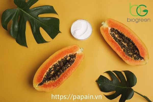 Papain có tác dụng gì hiện nay?